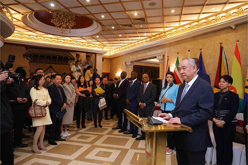 Li Ruohong Promotes Cooperation at the Launch Ceremony of Caribbean Culture Day 2024
